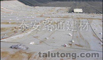 我公司膨潤土防水墊在濱州垃圾填埋場施工 我公司膨潤土防水墊在濱州垃圾填埋場施工